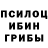 Галлюциногенные грибы мухоморы necropig