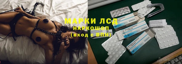 индика Бородино