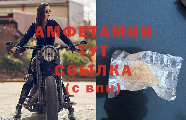 индика Бородино