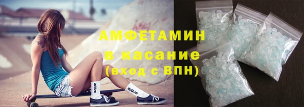 индика Бородино