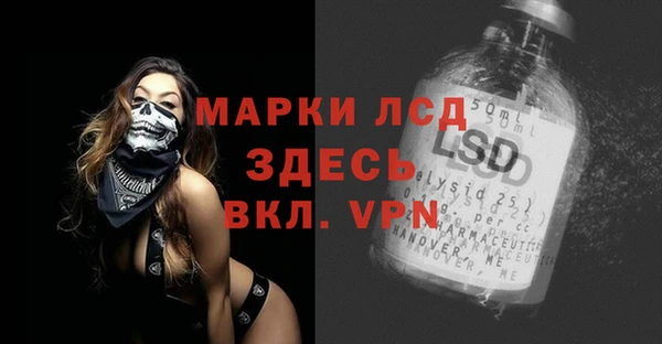 spice Верея