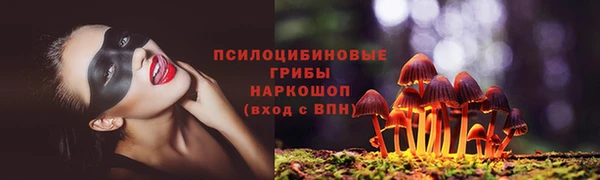 гидра Бугульма