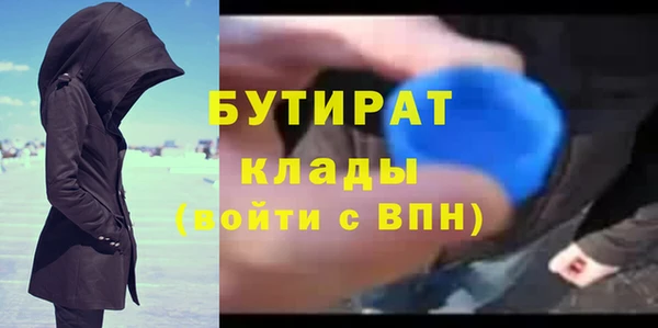 индика Бородино