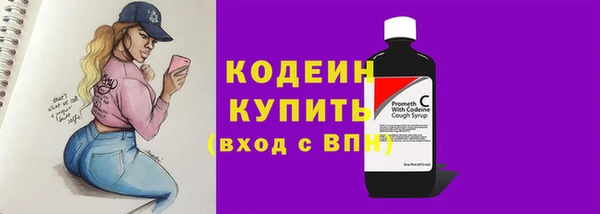 индика Бородино