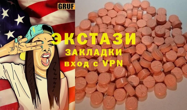 индика Бородино