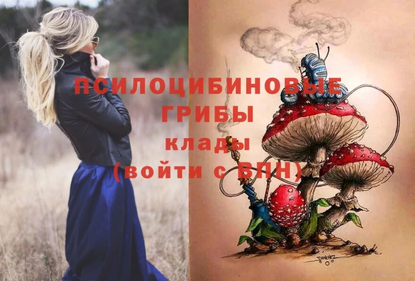 apvp Верхний Тагил