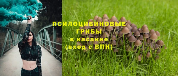 гидра Бугульма