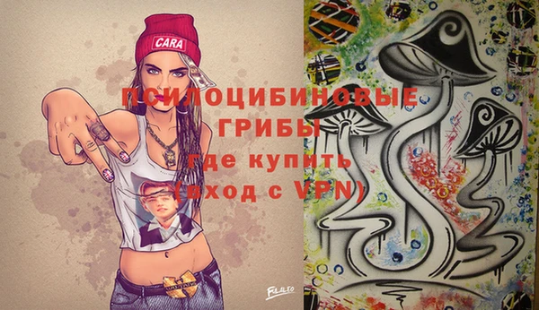 индика Бородино