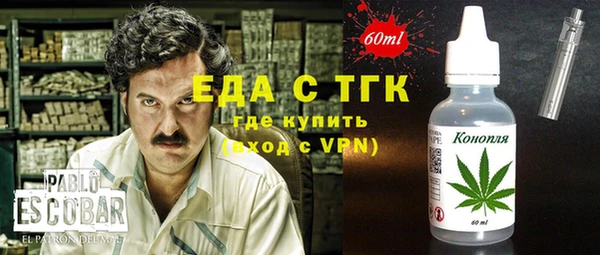 индика Бородино