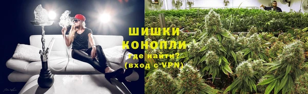 гидра Бугульма