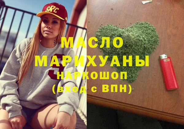 индика Бородино