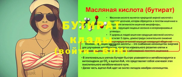 индика Бородино