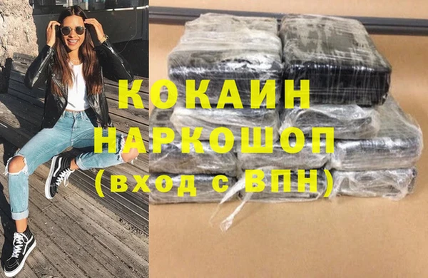 индика Бородино