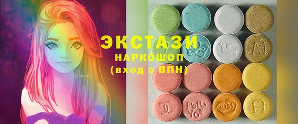 индика Бородино